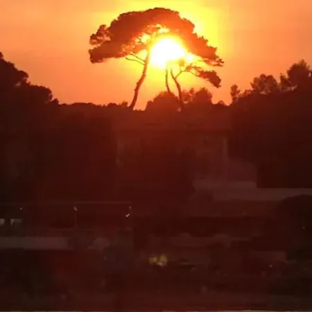 Maisonnette 1 Climatisation Calme Jardin Bbq Plages 度假居 *