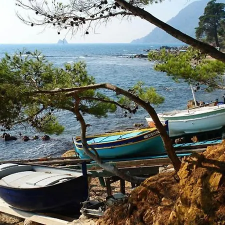 度假居 Maisonnette 1 Climatisation Calme Jardin Bbq Plages 滨海拉塞讷